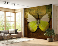 Butterfly Hues elegant wall mural vintage collage background script.