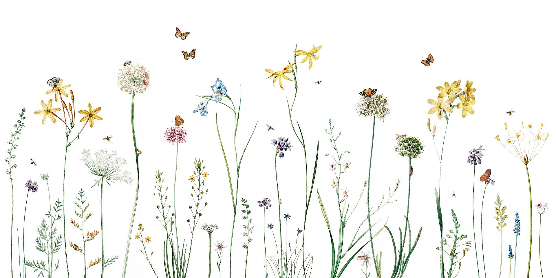 Butterfly Garden Wallpaper Murals in your room — zoomed