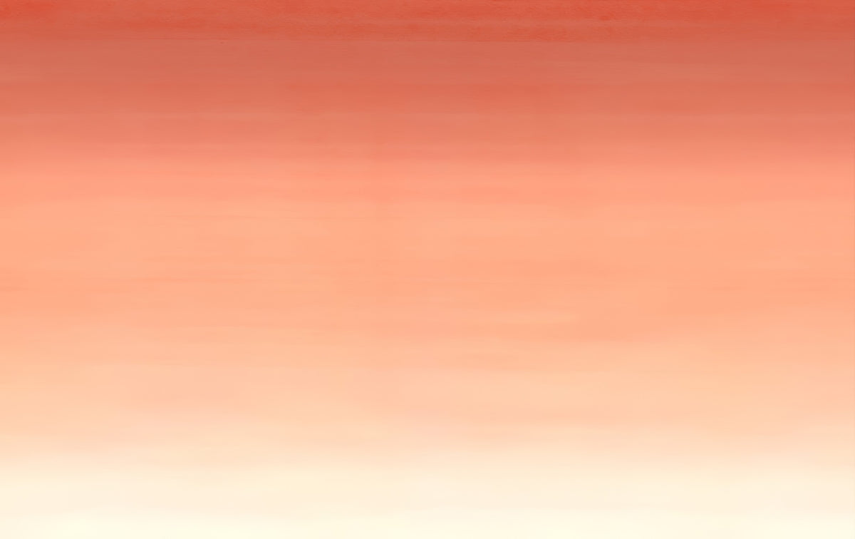 Peach Ombre Wall Mural in your room — zoomed
