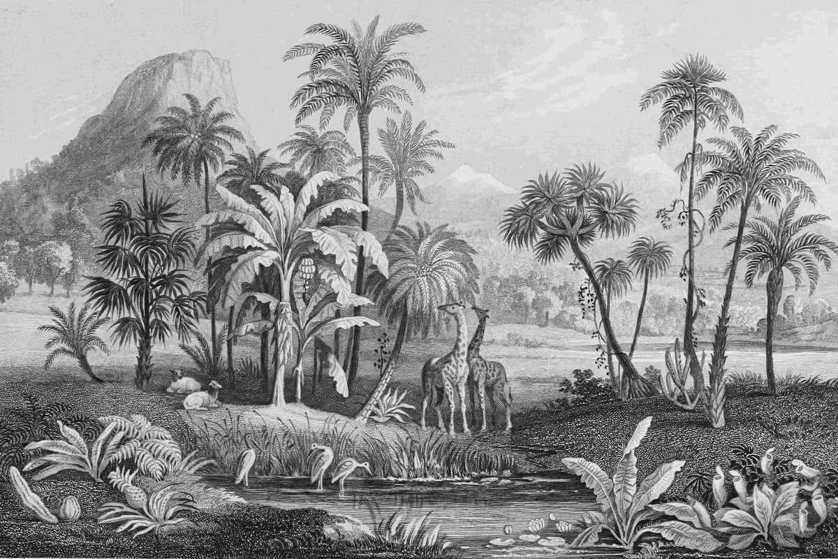 Monochrome Vintage Jungle Wall Mural in your room — zoomed