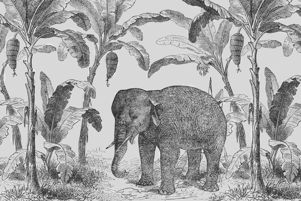 Vintage Elephant Wall Mural in your room — zoomed