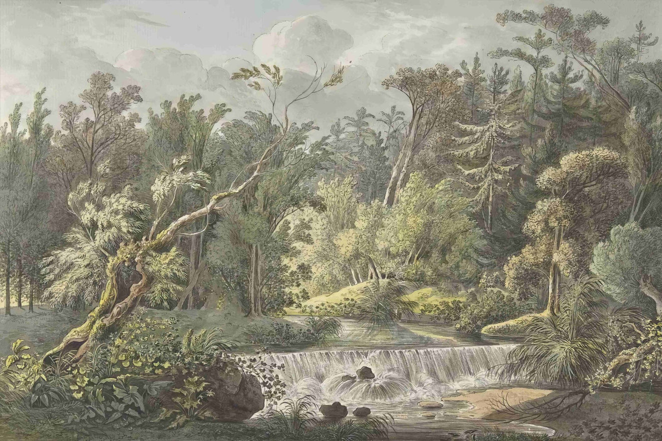Vintage Forest Waterfall Mural