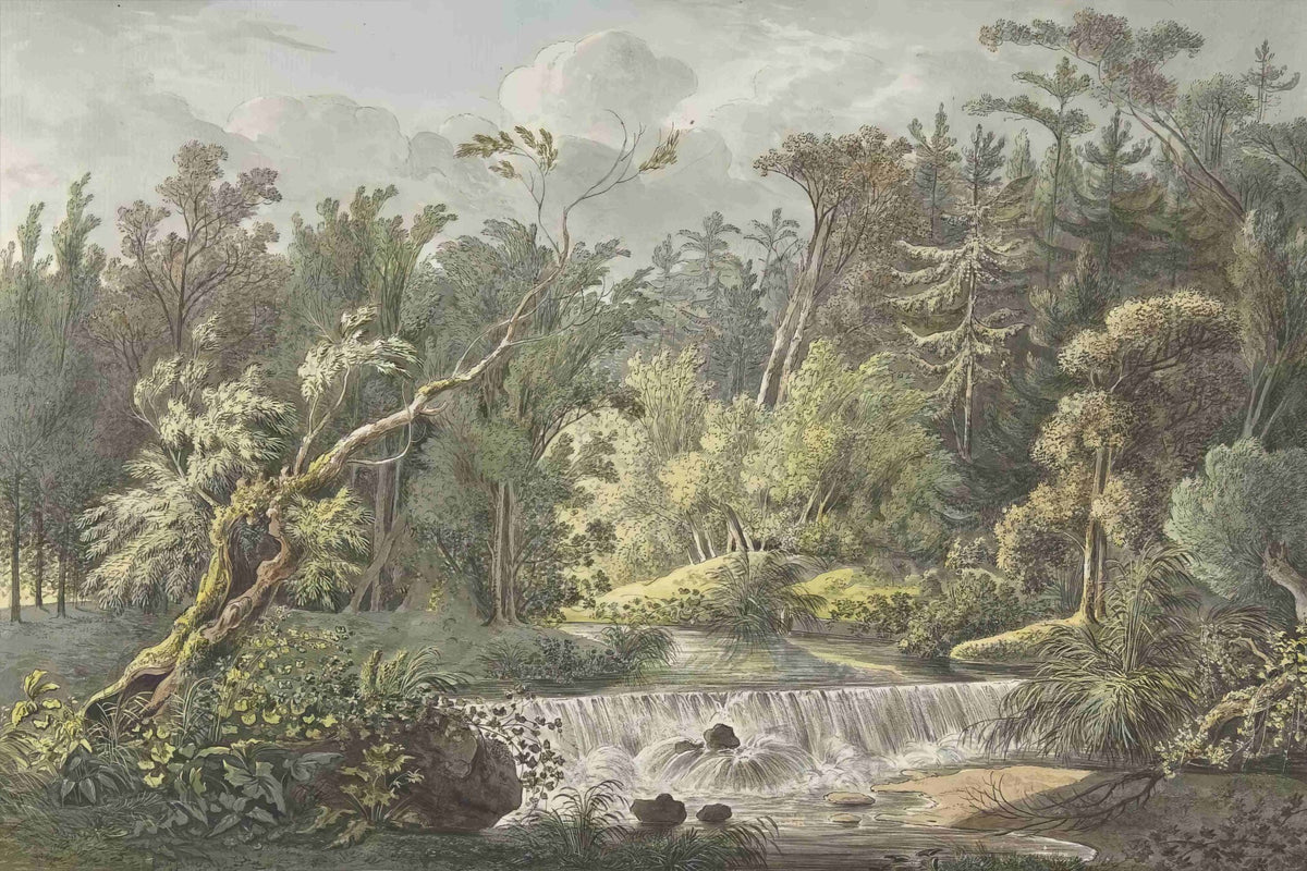 Vintage Forest Waterfall Mural in your room