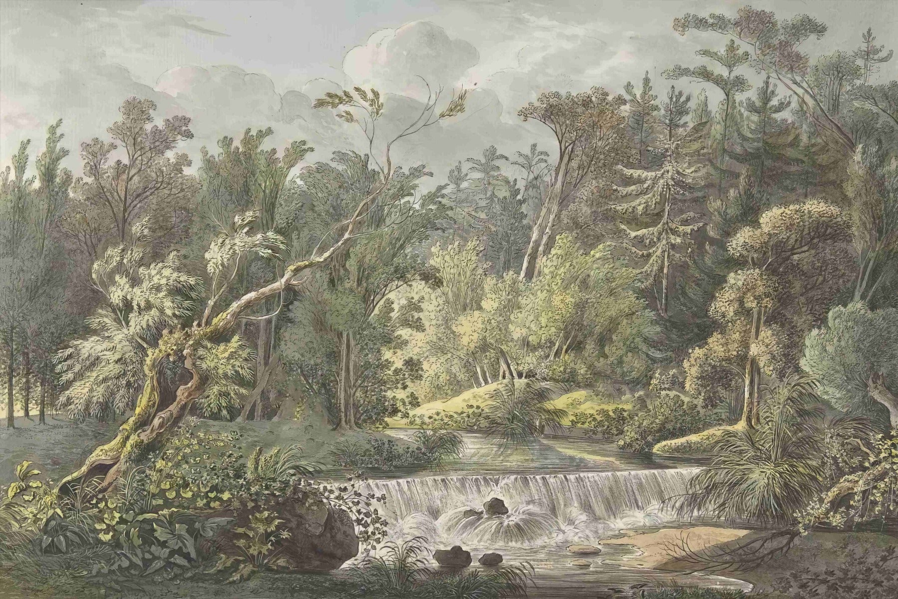 Vintage Forest Waterfall Mural