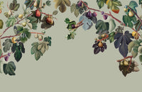 Botanical Fig Garden Wall Mural - Giffywalls