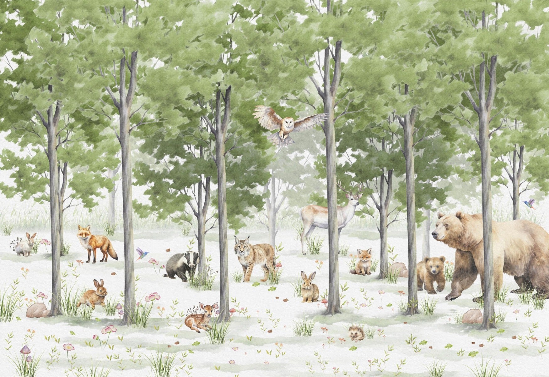Enchanted Forest Wallpaper Mural