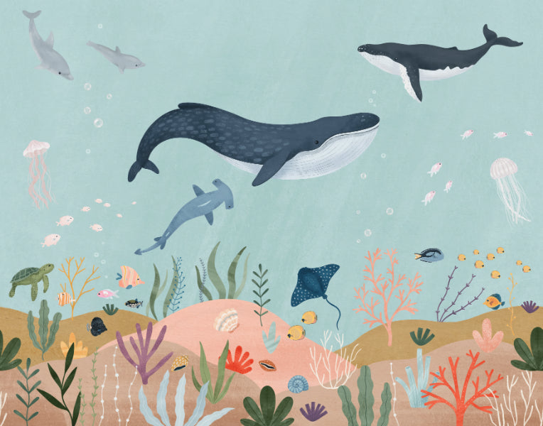 Oceanic Adventure Wall Mural in your room