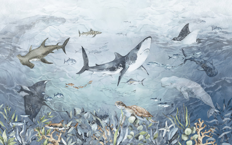 Aquatic Life Wall Mural in your room