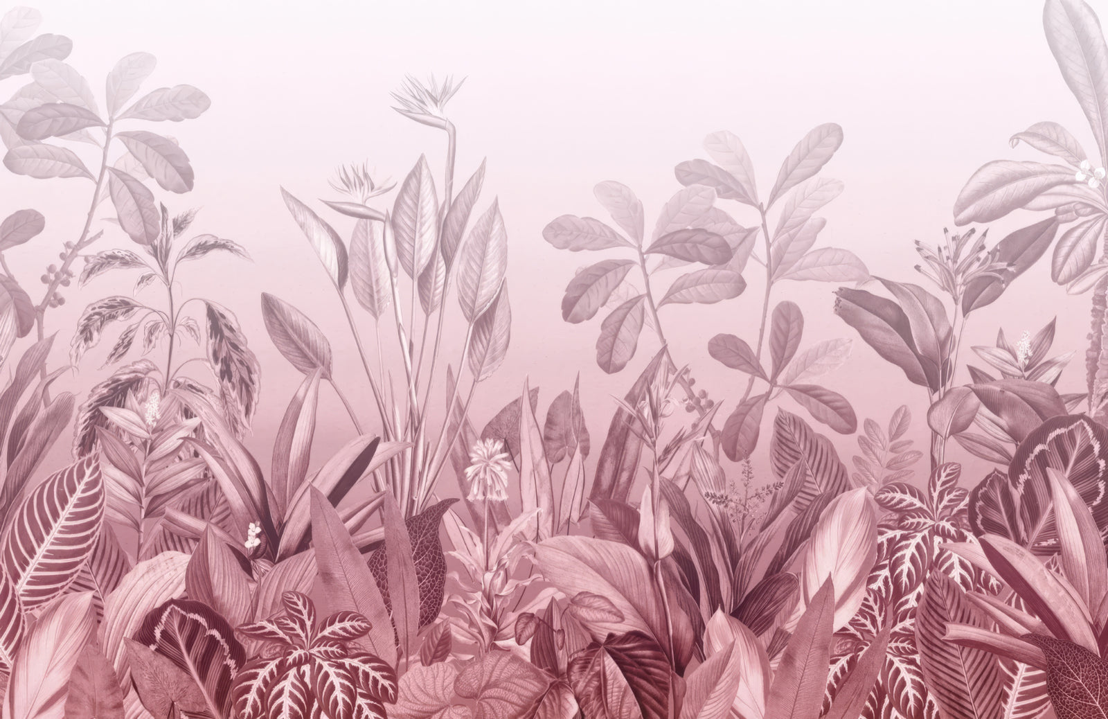 Pink Tropical Jungle Wall Mural