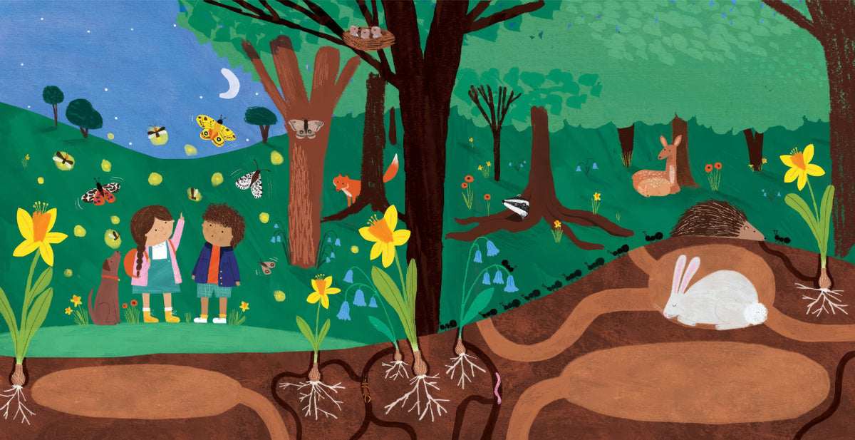 Forest Tales Wall Mural in your room