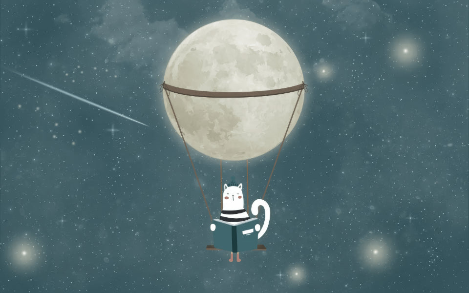 Dreamy Nighttime Wall Mural in your room — zoomed