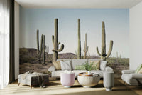Unique Cactus Land mural with desert landscape design.

