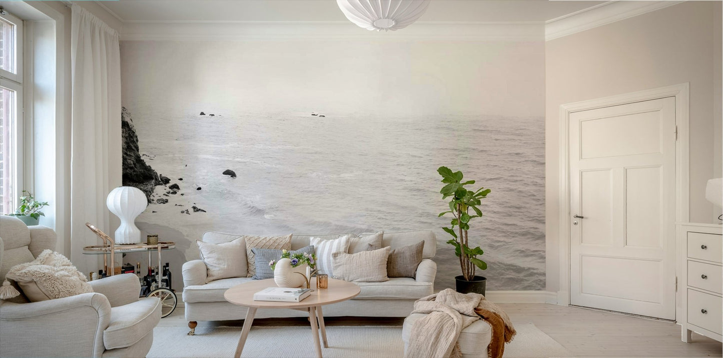 Stunning black and white view of California coast.

