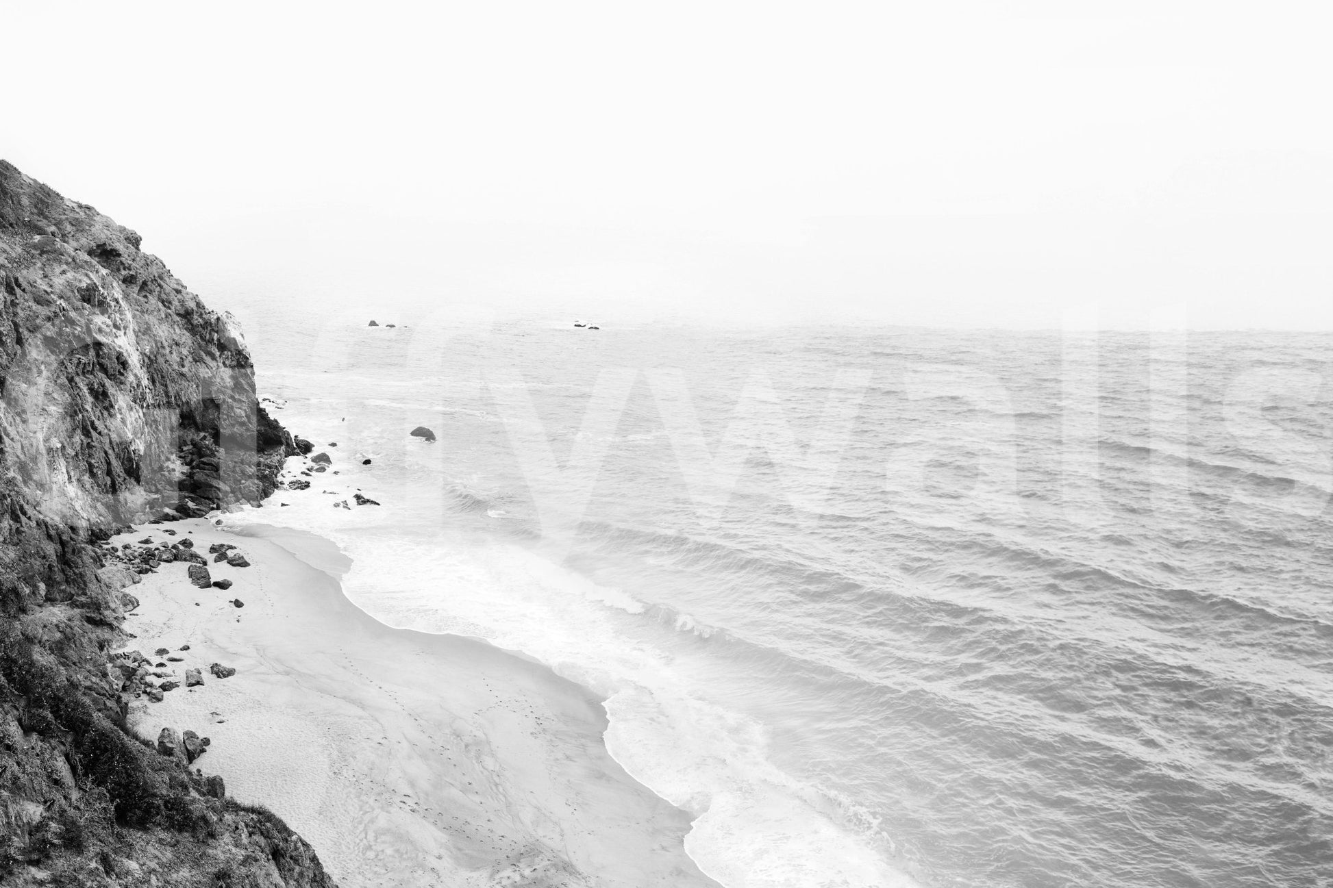 California coastline mural in striking monochrome.

