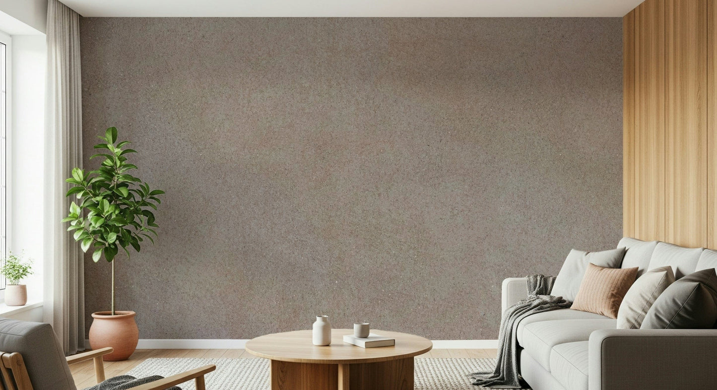 Taupe Stone Surface Wall Mural -2306197