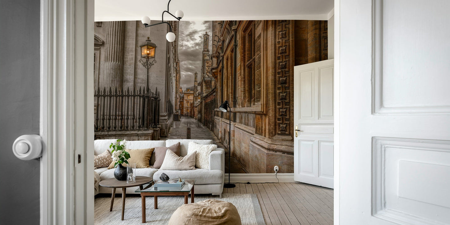 Elegant Cambridge lane with lamppost and stone architecture mural.

