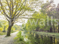 simple and natural wall art

