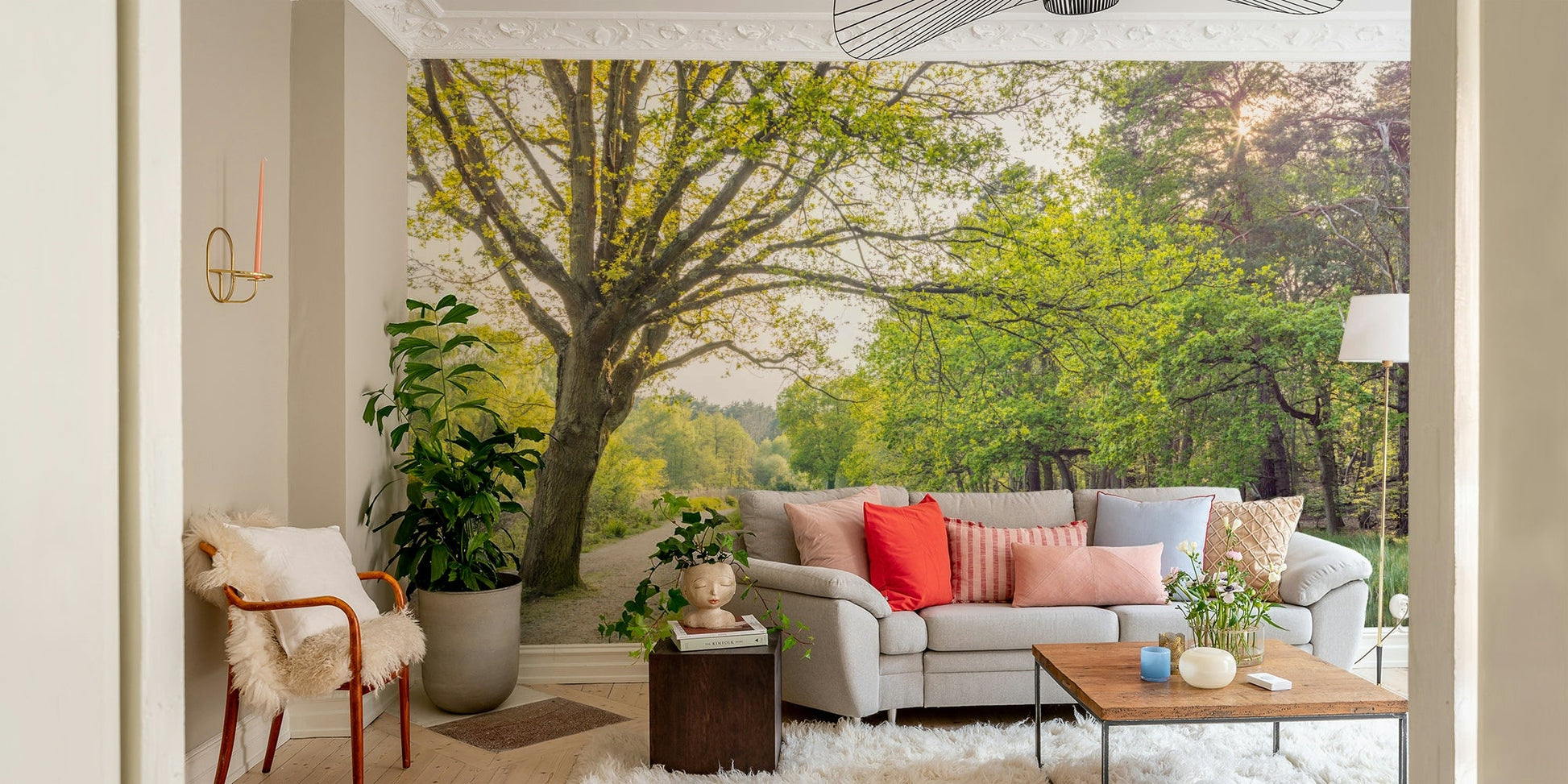 Canal path lined with trees.

