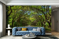 Shaded forest path wallpaper design
