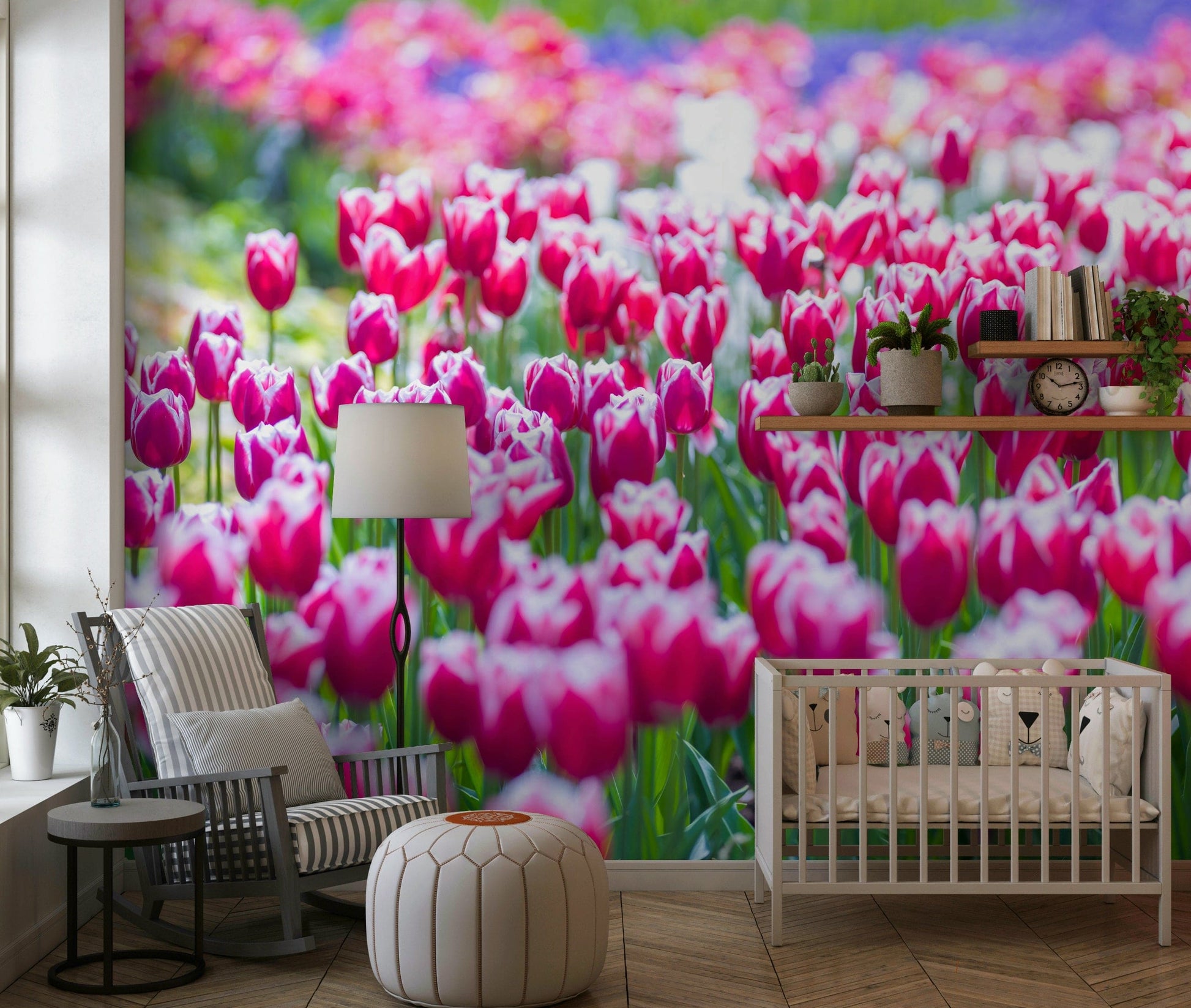 Colorful field of tulips, Tulip Wonderland floral backdrop.