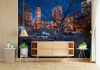 Urban night scenery Central Park at Night product wall mural 