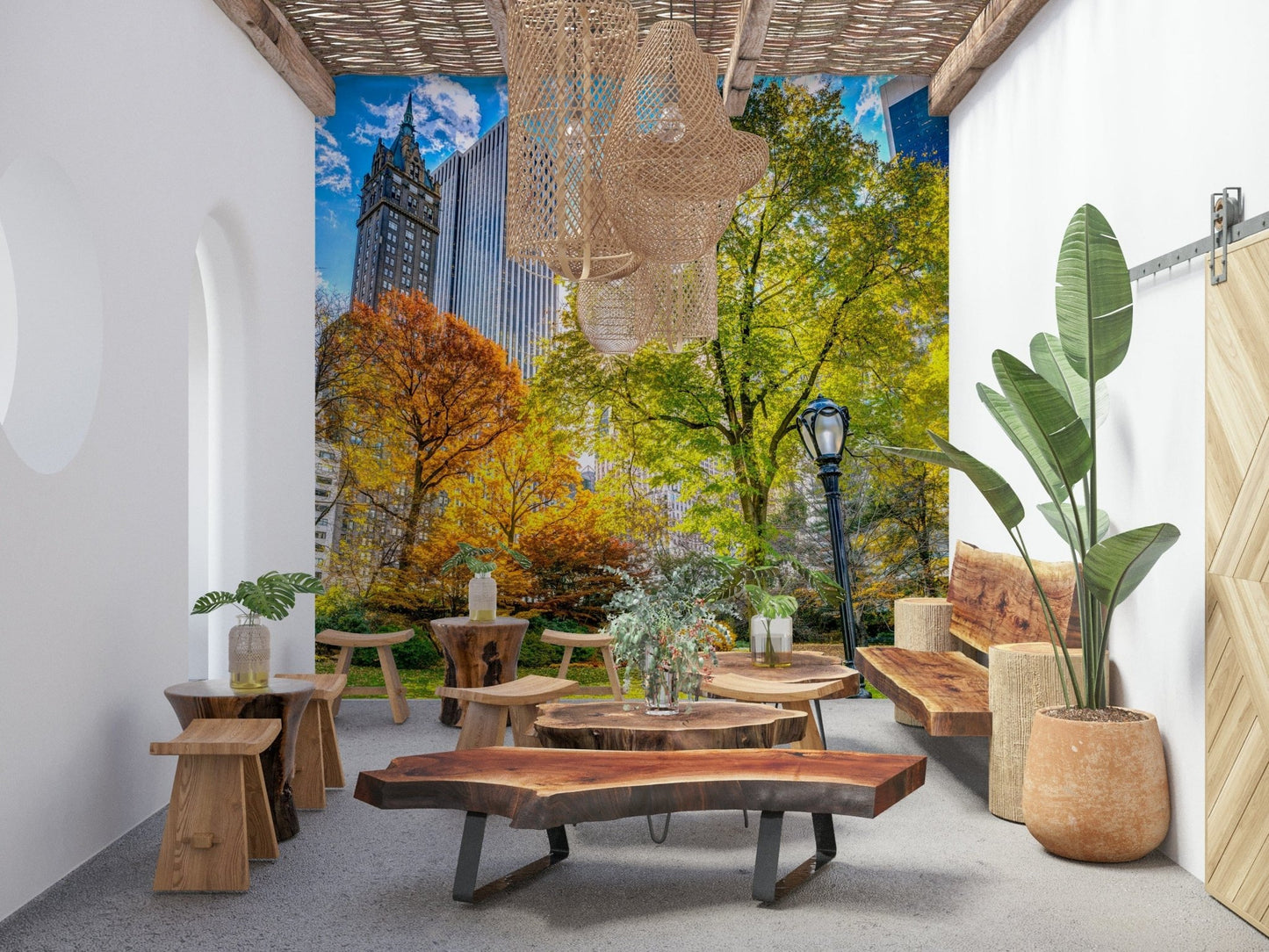 Central Park in Fall Colors, large tree foreground, impressive tall buildings looming.