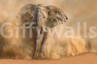 Dust Storm Charge wallpaper mural shown as a full-wall scene of an African elephant charging head-on through a swirling tan desert dust storm