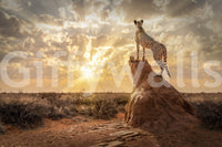 Cheetah-inspired wallpaper mural in guest room, soft beige palette with bold spot detail
