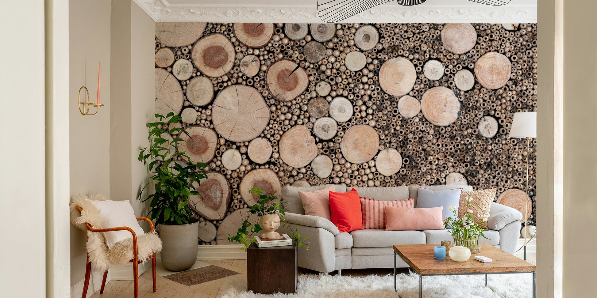 Tree ring wall mural texture

