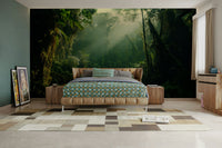 A classic forest scene wallpaper for walls.

