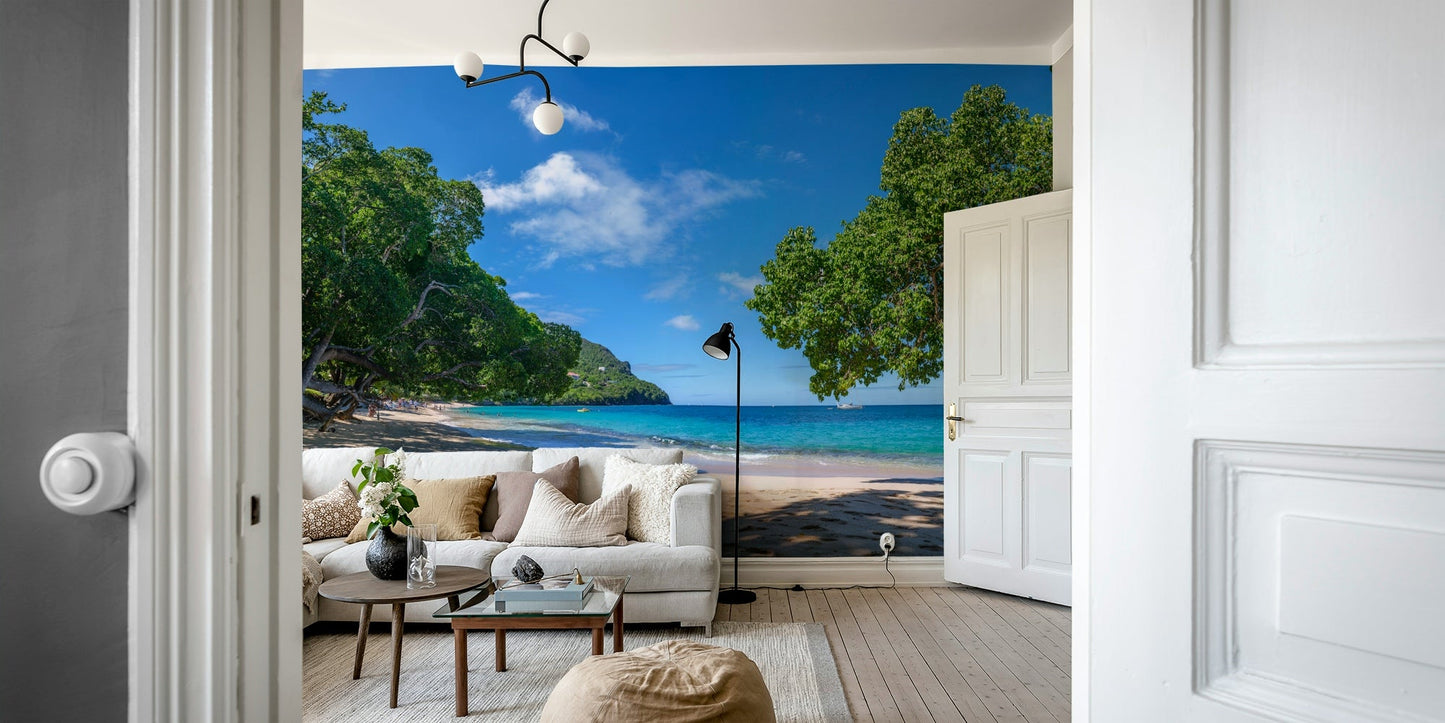 Beach scene with lush, green trees overhanging the sand.

