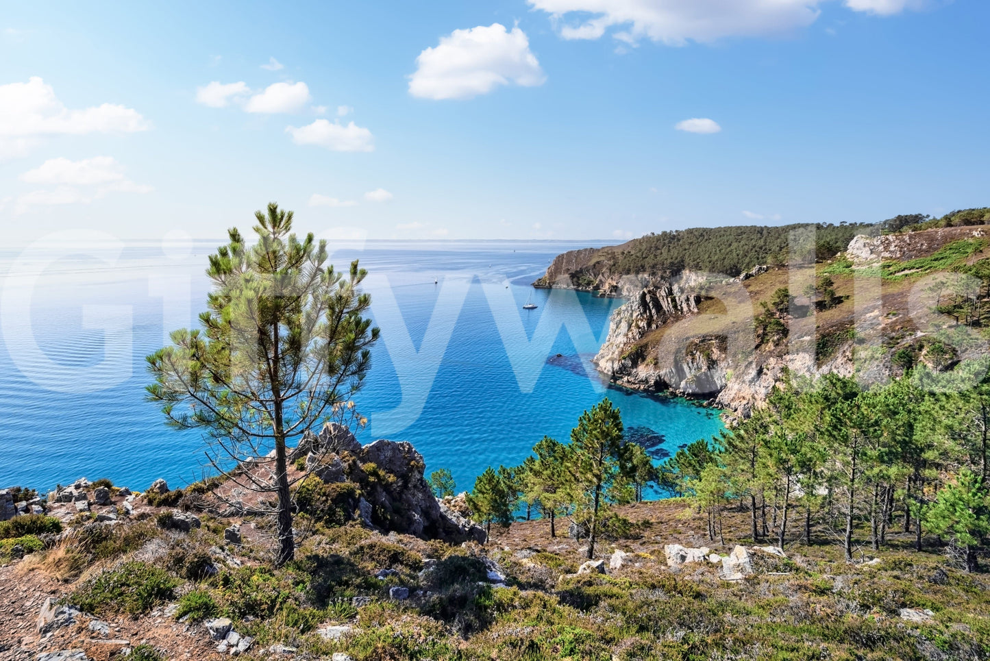 Brittany Vista Wall Mural showing sea wallpaper bays and green color countryside view