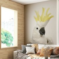 Exotic cockatoo wallpaper with bright colors

