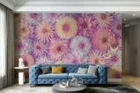 Focus on diverse dahlia types and close-up floral patterns.

