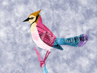 Colorful Jay wall mural shown as a full-wall mural, a pink and turquoise jay on a mottled blue-grey wall