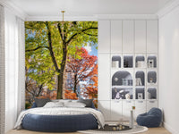 Colours of Central Park Wall Mural
