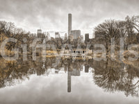 Contrast of Worlds sepia view of Central Park lake reflecting bare trees and skyline shown as a full-wall mural