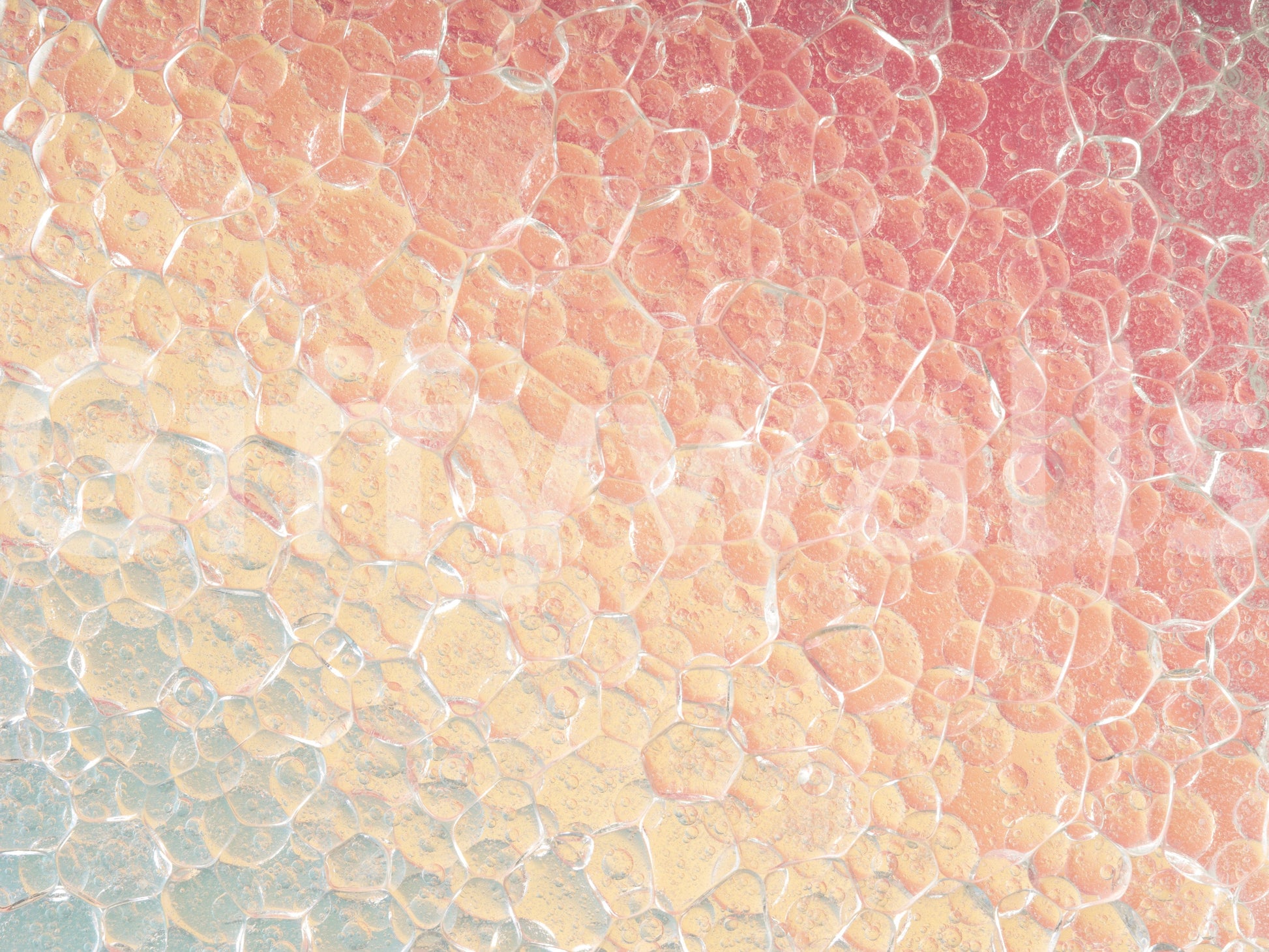 Ethereal Cells stylish wallpaper