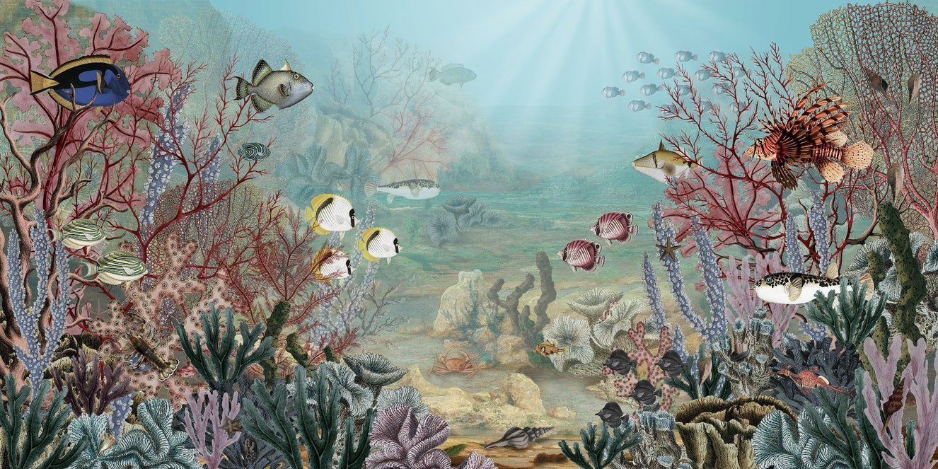 Underwater Corel reef wallpaper for walls