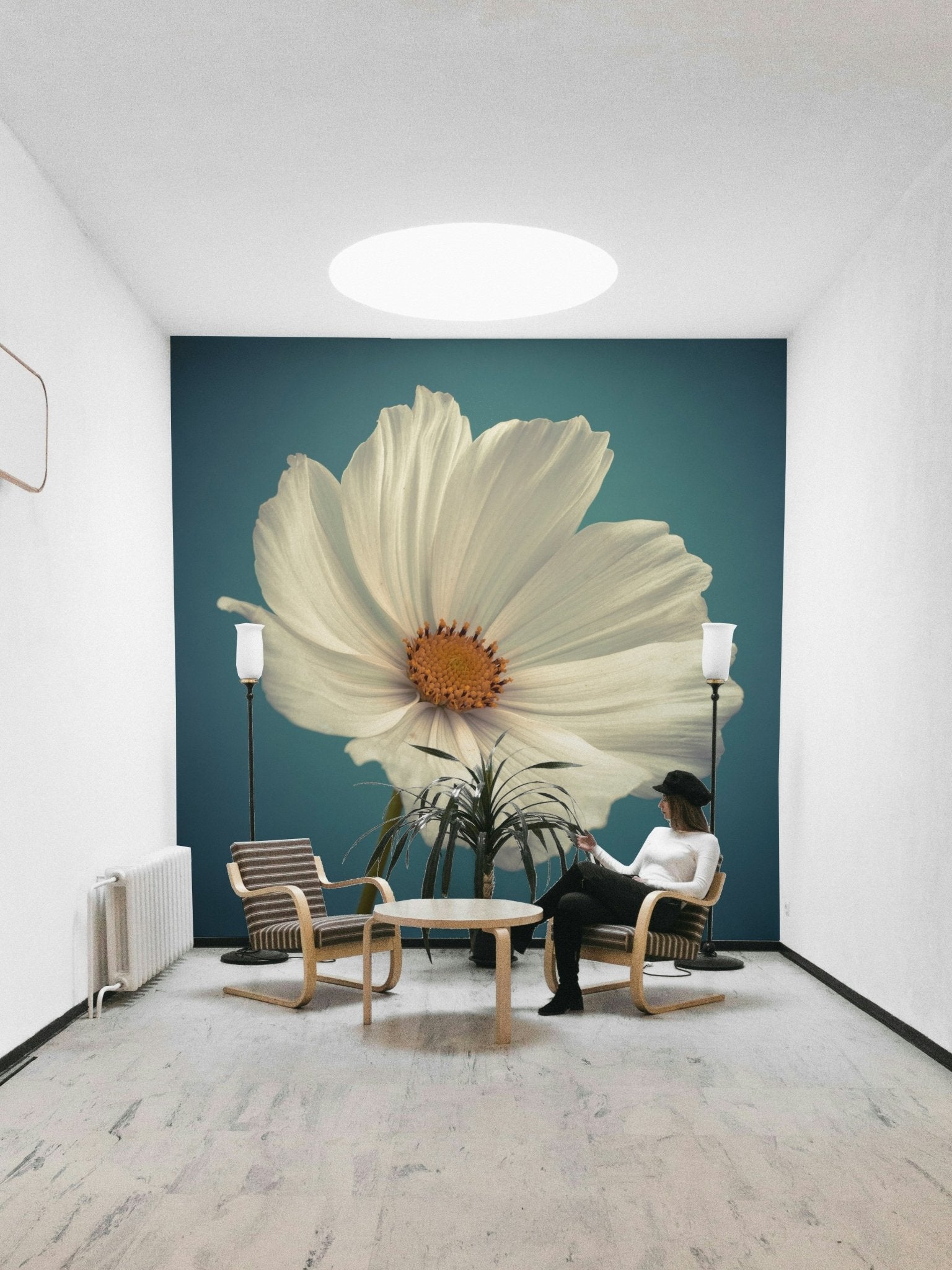 White cosmos bloom against a soft, serene backdrop

