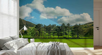 Countryside Meadow Wall Mural