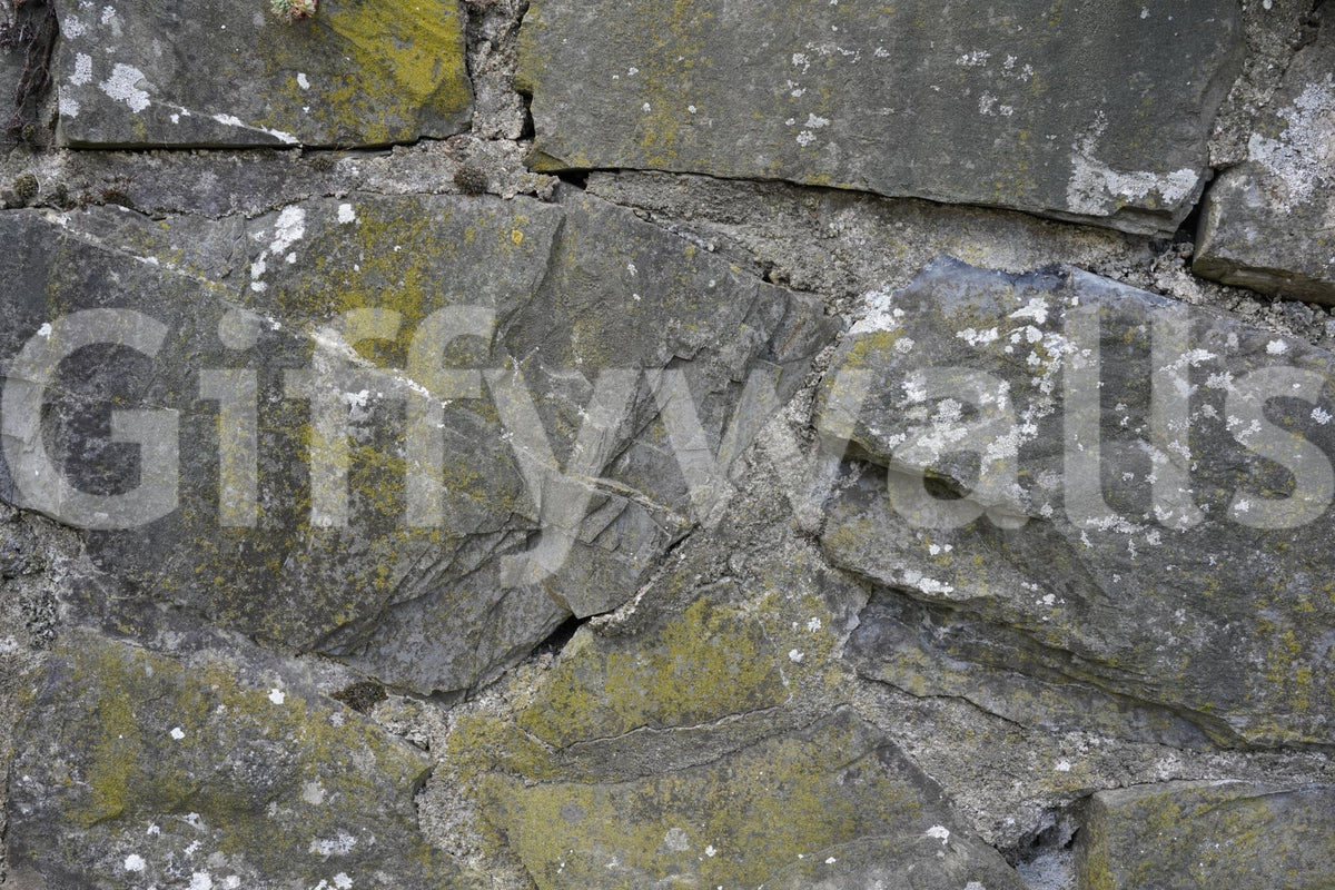 Cracked Stone Texture wallpaper mural close-up showing the grey cracked stone blocks with yellow lichen and mortar