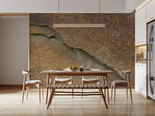 Cracked Stone Wall Mural -2566606