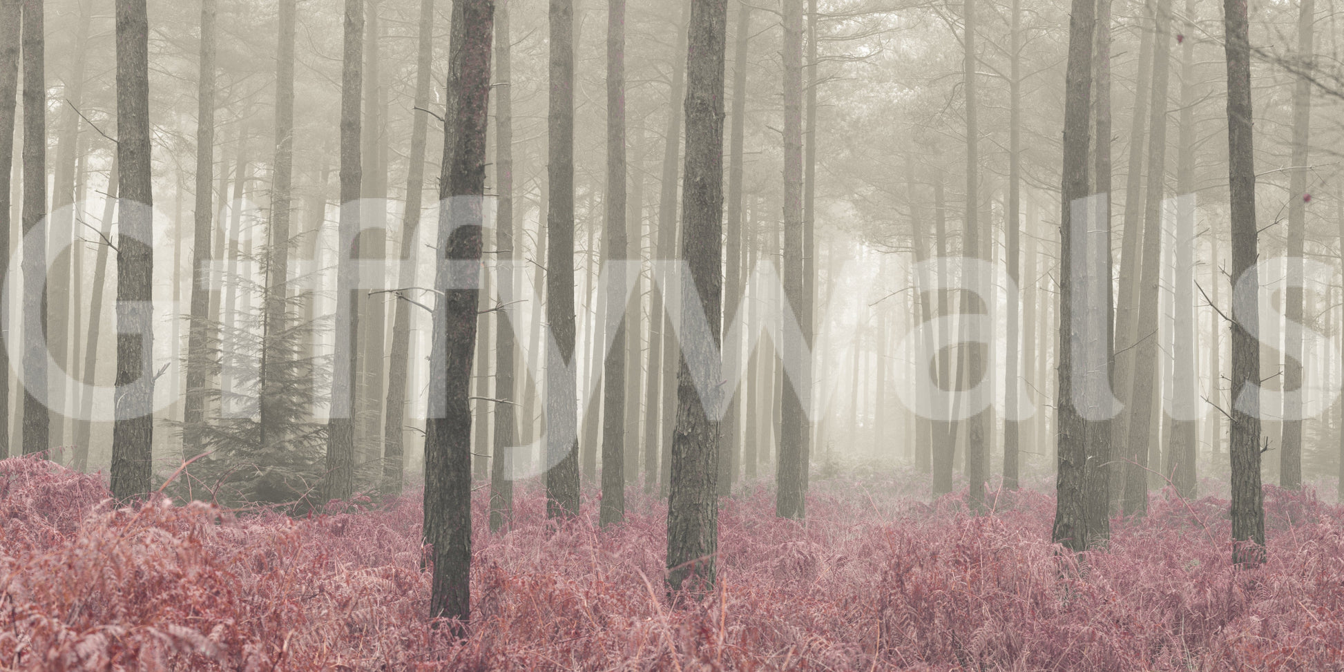 Ethereal tree landscape Crimson Whisper Woods wall graphic.