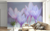 Soft spring flowers wall mural in macro view