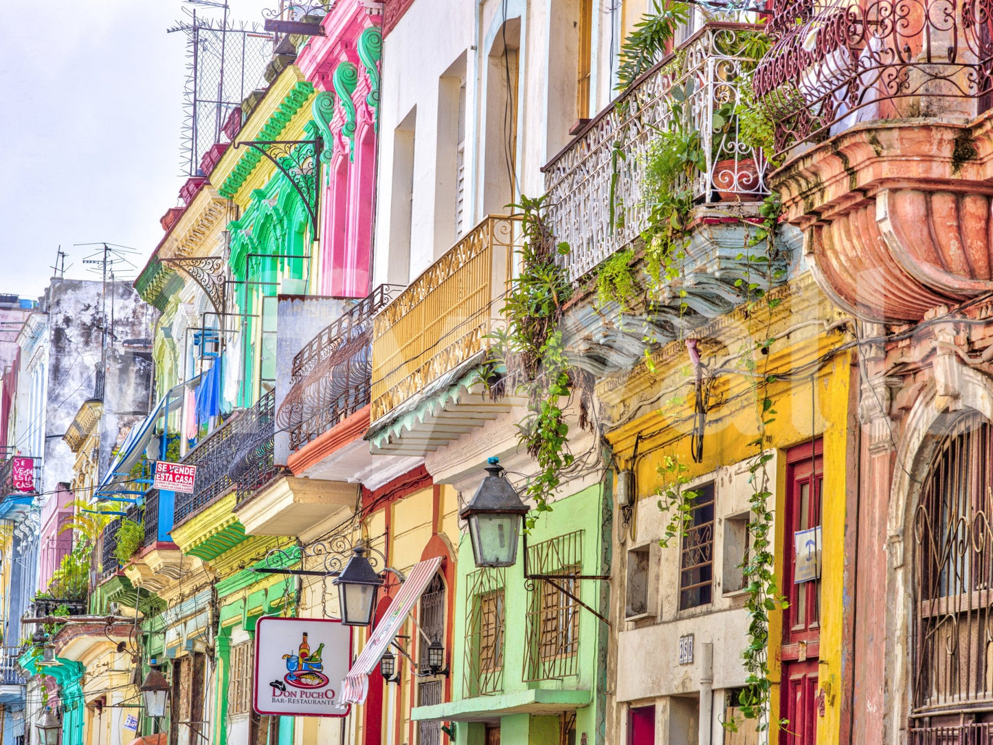 The design is non-realistic and interpretive.

