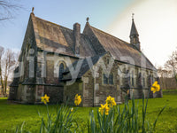 Serene religious building background on Golden Daffodils wall mural with fresh petals.