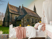 Cheerful blooming garden foreground on Golden Daffodils wallpaper against blue sky.