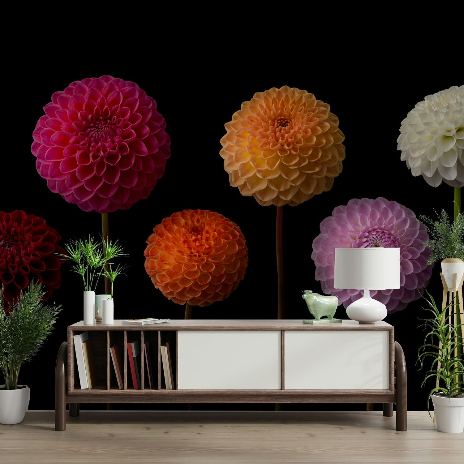 Dahlia flower mural wallpaper

