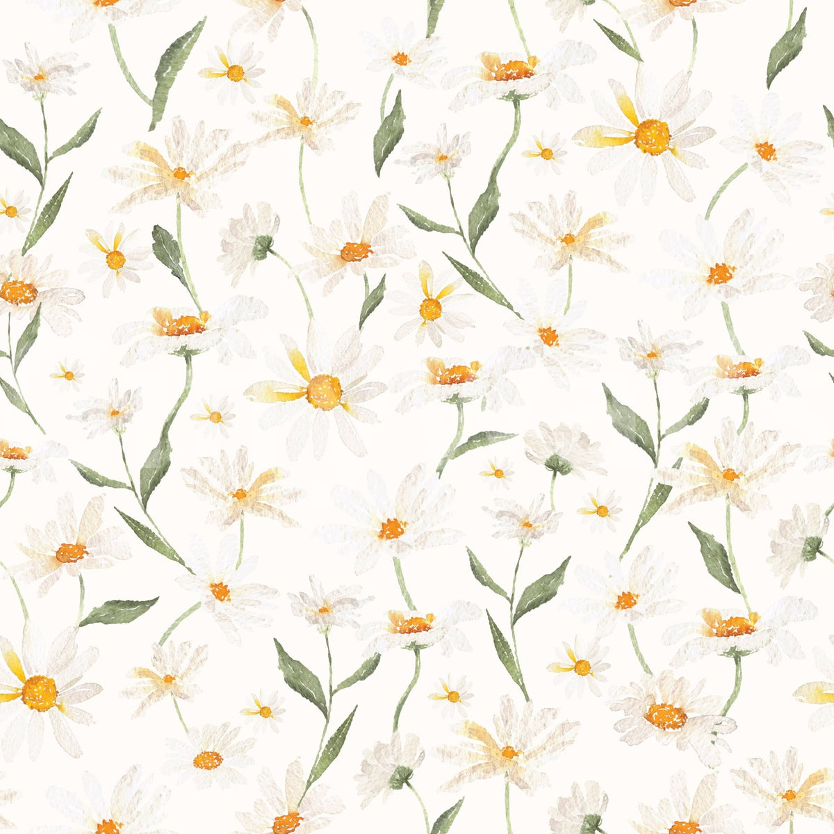 Wall mural natural motif botanical beauty Daisy Dreams decor.